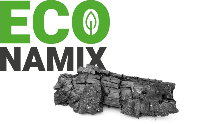 Das Logo von ECONAMIX
