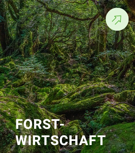 Forstwirtschaft bei Econamix