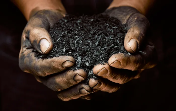 Der Alleskönner im Klimaschutz